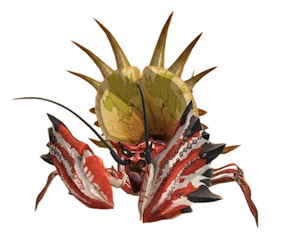 Daimyo Hermitaur Daimyo Hermitaur